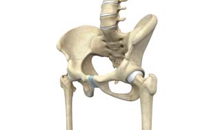 Pre-op and Post-op Hip Guidelines